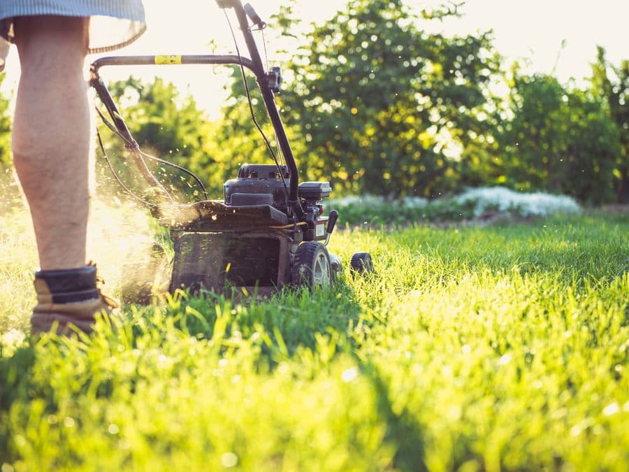A landscaper mowing a lawn on a sunny day